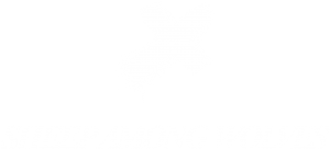sheepamongwolves full logo