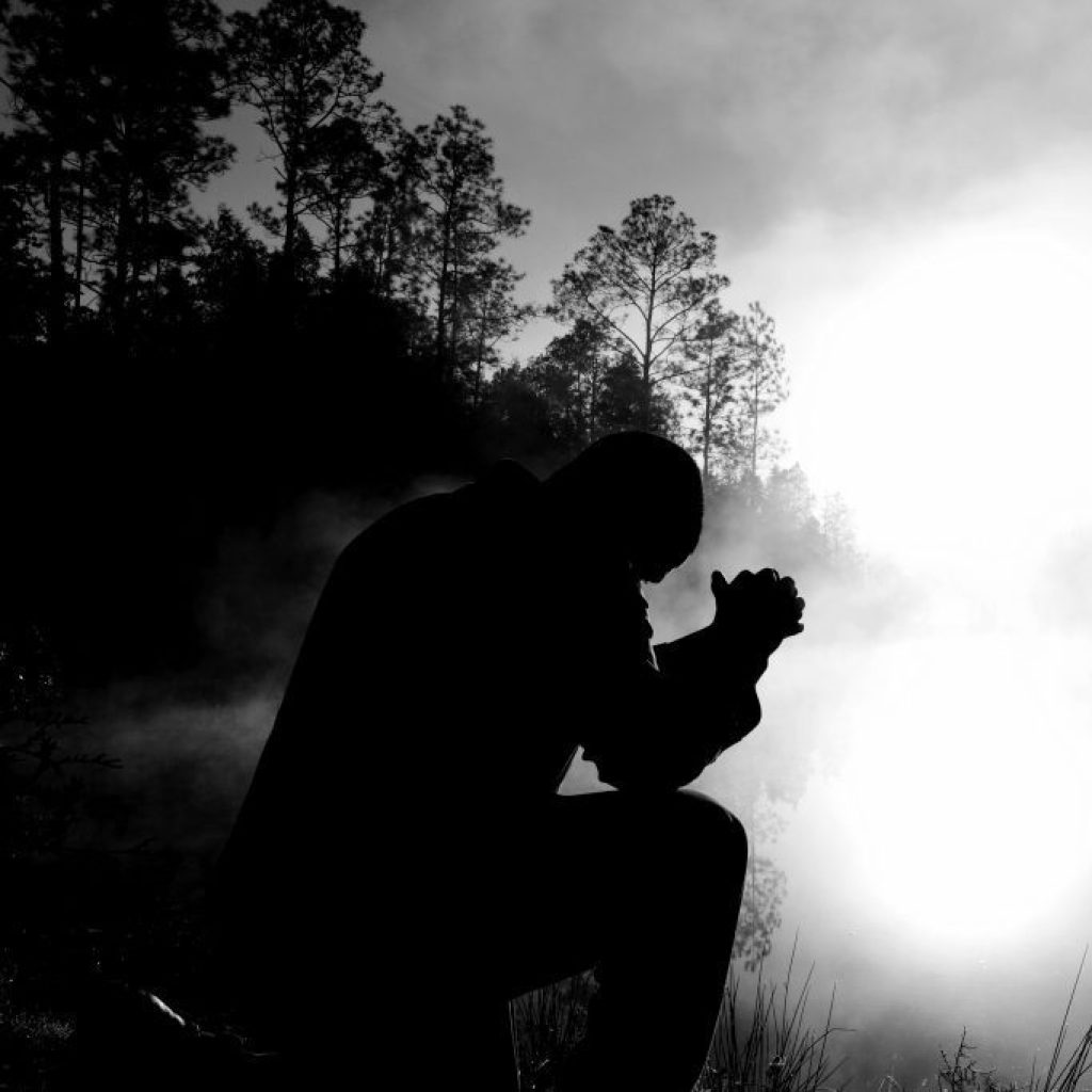 One We Love One We Love