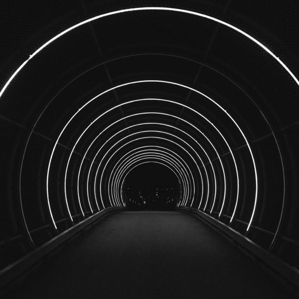 Vision Vision